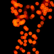 Illustration for article titled Shooting Challenge: Bokeh, Gallery 1